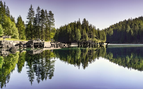 哎呀, 写到这里, 我都有些累了