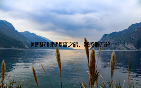 回想起那段调查之旅, 我感慨万分