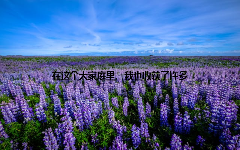 在这个大家庭里, 我也收获了许多