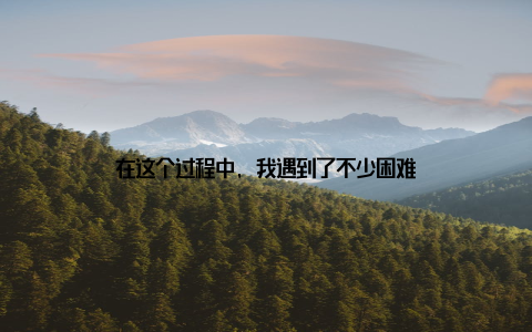 在这个过程中, 我遇到了不少困难