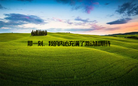 那一刻, 我的内心充满了激动和期待