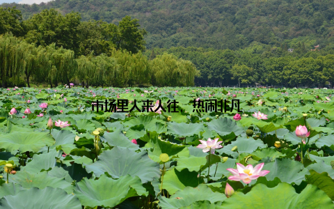 市场里人来人往, 热闹非凡