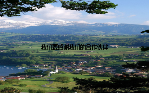 我们要感谢我们的合作伙伴