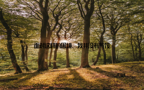 面对这样的困境, 我并没有气馁