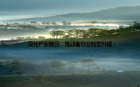 深化产业融合, 推动畜牧业转型升级