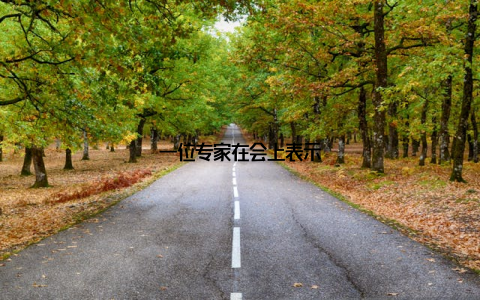 一位专家在会上表示