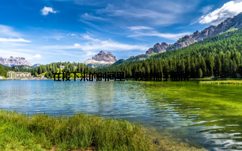 在接下来的时间里, 我参加了面试