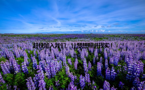 赶快加入我们, 让梦想照进现实!