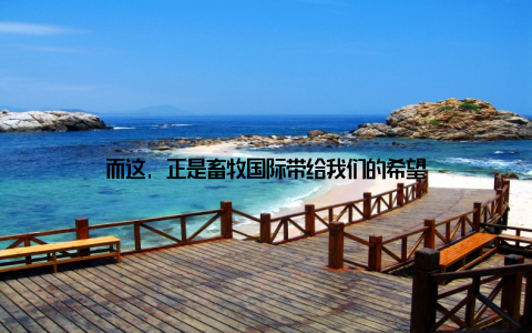 而这, 正是畜牧国际带给我们的希望