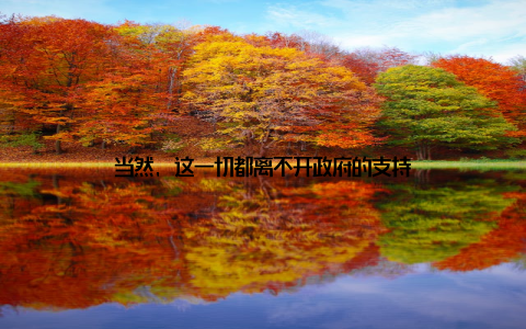 当然, 这一切都离不开政府的支持