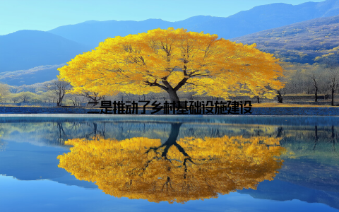 二是推动了乡村基础设施建设