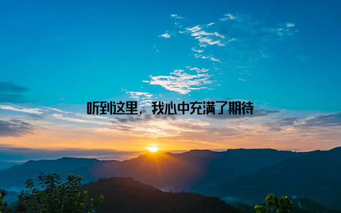 听到这里, 我心中充满了期待