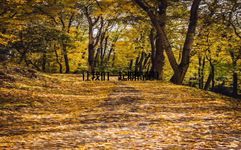让我们一起期待吧!