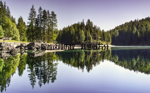 回首这段历程, 我感慨万分