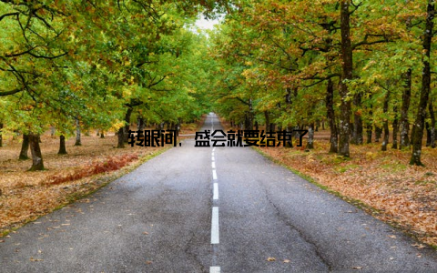 转眼间, 盛会就要结束了