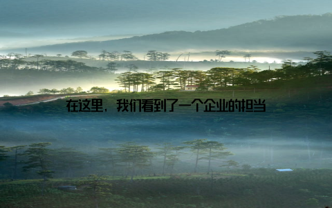 在这里, 我们看到了一个企业的担当