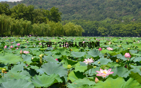 它是一个拓展人脉的机遇