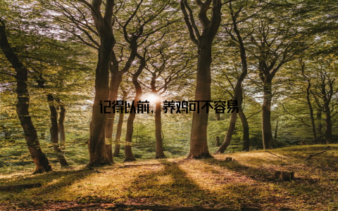 记得以前, 养鸡可不容易