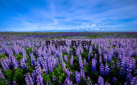 勇于创新, 敢于尝试