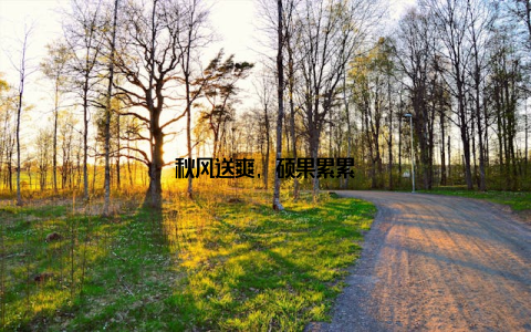 秋风送爽, 硕果累累