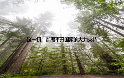 这一切, 都离不开国家的大力支持