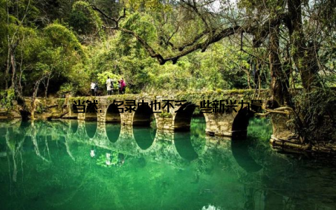 当然, 名录中也不乏一些新兴力量