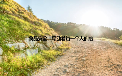 食品安全, 牵动着每一个人的心