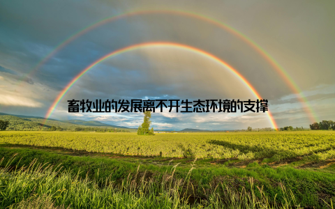 畜牧业的发展离不开生态环境的支撑