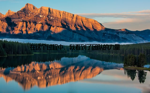 在这个过程中, 我看到了团队的力量