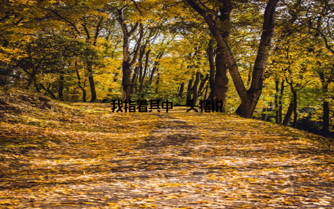 我指着其中一头猪说