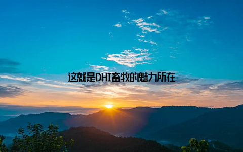 这就是DHI畜牧的魅力所在