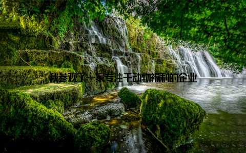 我参观了一家专注于动物福利的企业