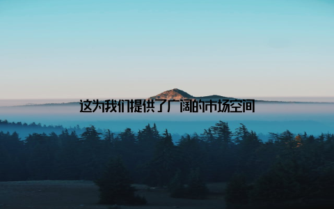这为我们提供了广阔的市场空间