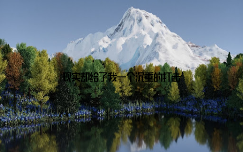 现实却给了我一个沉重的打击