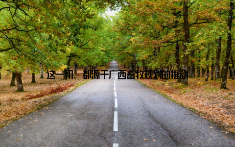 这一切, 都源于广西畜牧规划的推动