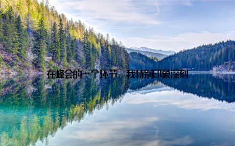 在峰会的一个环节, 我特别印象深刻