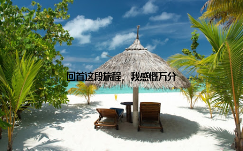 回首这段旅程, 我感慨万分