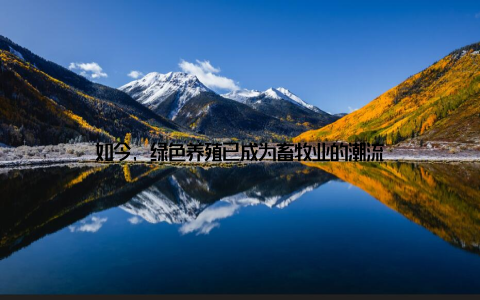 如今, 绿色养殖已成为畜牧业的潮流