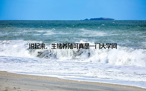 说起来, 生猪养殖可真是一门大学问