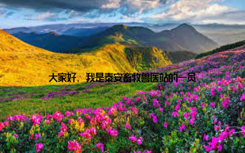 大家好, 我是泰安畜牧兽医站的一员