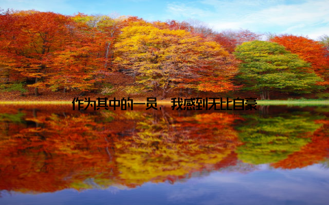 作为其中的一员, 我感到无比自豪