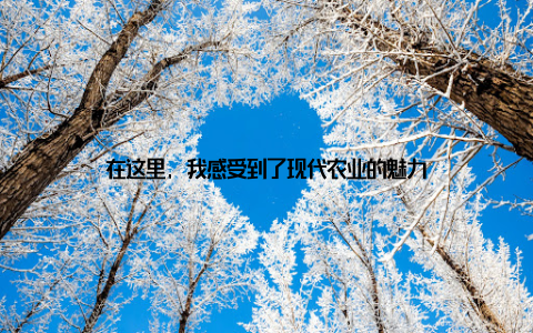 在这里, 我感受到了现代农业的魅力
