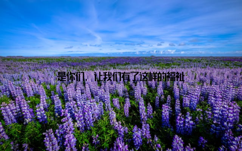 是你们, 让我们有了这样的福祉