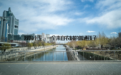 我叫小王, 一个来自农村的普通孩子