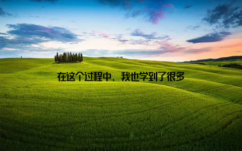 在这个过程中, 我也学到了很多