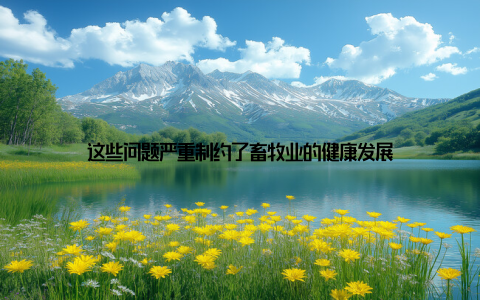 这些问题严重制约了畜牧业的健康发展