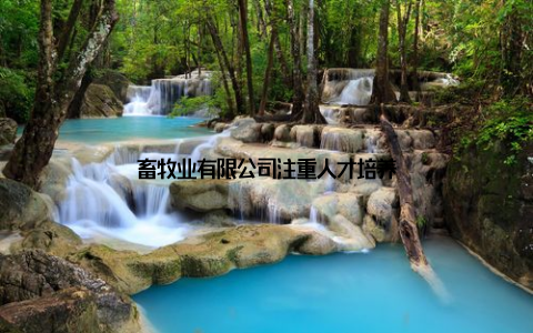 畜牧业有限公司注重人才培养