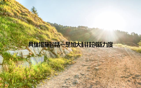 具体措施包括一是加大科技创新力度