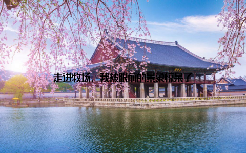 走进牧场, 我被眼前的景象惊呆了