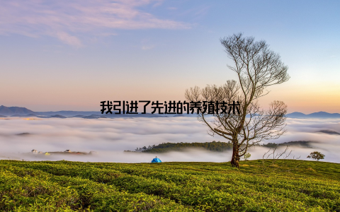 我引进了先进的养殖技术